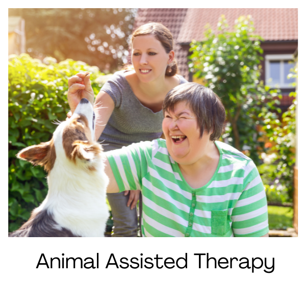 Animal Assisted Therapy - Verve OT